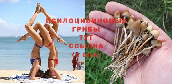 стафф Белоозёрский