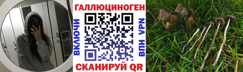 Галлюциногенные грибы прущие грибы  Краснотурьинск 